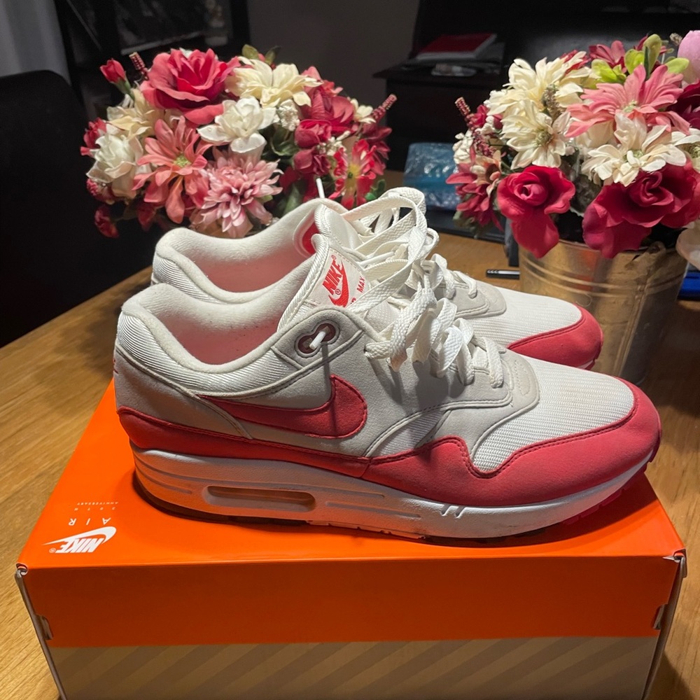 Mens Nike Air Max 1 30th Anniversary Shoes